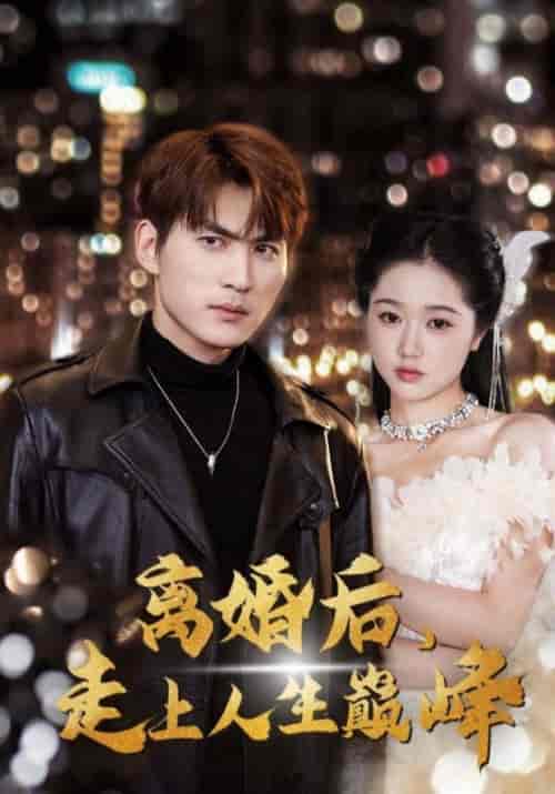 离婚后,走上人生巅峰(100集全)宁凡&夏婉柔-紫橙资源网