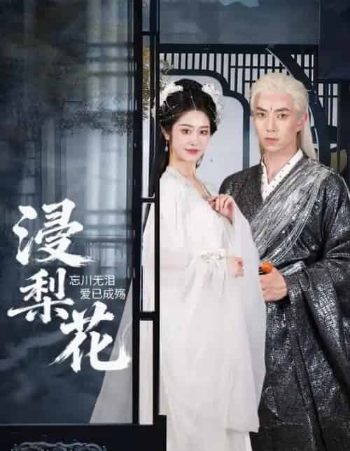 浸梨花（50集全）傅汉源＆戴琪萱-紫橙资源网