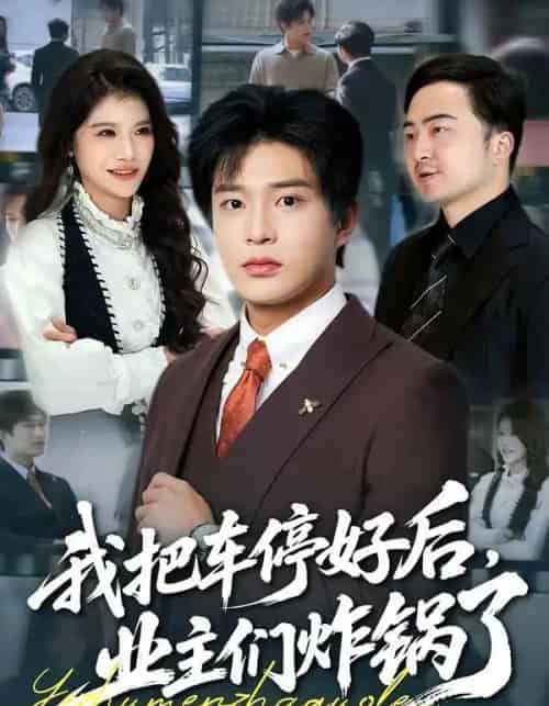 我把车停好后，业主们炸锅了（47集全）朱凯杰＆妞妞-紫橙资源网