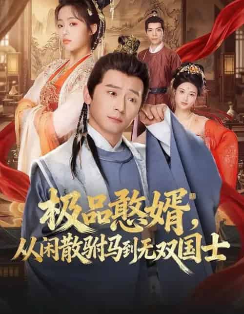 极品憨婿，从闲散驸马到无双国士（76集全）何其炜＆林思妤-紫橙资源网