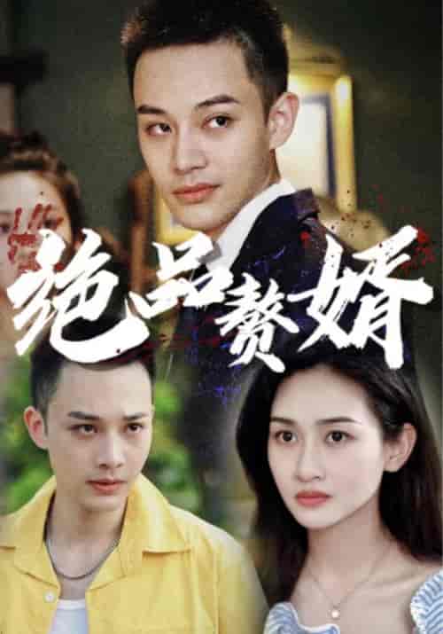 绝品赘婿（80集全）慕子期＆凌妙妙-紫橙资源网