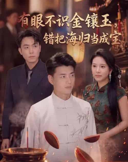 有眼不识金镶玉错把海归当成宝(80集全)李进源&华越-紫橙资源网
