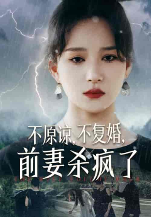 不原谅，不复婚，前妻杀疯了（34集全）霍启＆宋慈-紫橙资源网