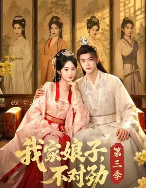 我家娘子,不对劲第三季(99集全)陈外&鲁芳岐-紫橙资源网