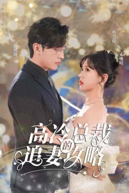 怀崽后孟秘书每天都想跑路＆高冷总裁的追妻攻略＆霸道总裁的甜蜜攻略（65集）柴柴-紫橙资源网