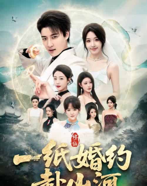 一纸婚约赴山河(80集全)张翊轩&罗奕-紫橙资源网