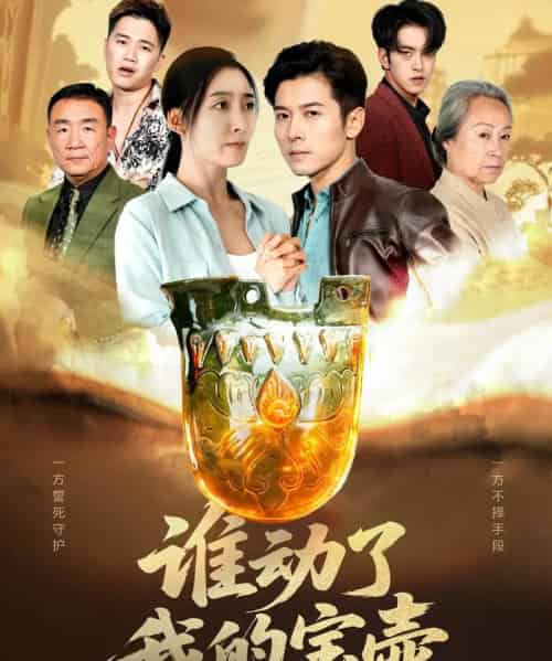 谁动了我的宝壶(31集全)赖艺&赵琳苑-紫橙资源网