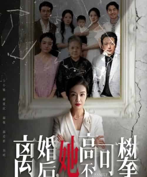 离婚后她高不可攀＆至亲之人伤我最深（67集全）岳子龙＆刘超-紫橙资源网