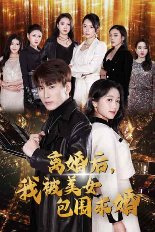 离婚后,我被美女包围求婚&离婚后,走上人生巅峰(100集)岳雨婷-紫橙资源网