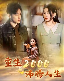 重生2000之沸腾人生（85集）-紫橙资源网