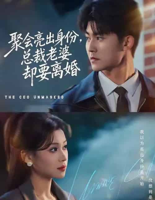 聚会亮出身份,总裁老婆却要离婚(81集全)梅子健&任柏玉-紫橙资源网