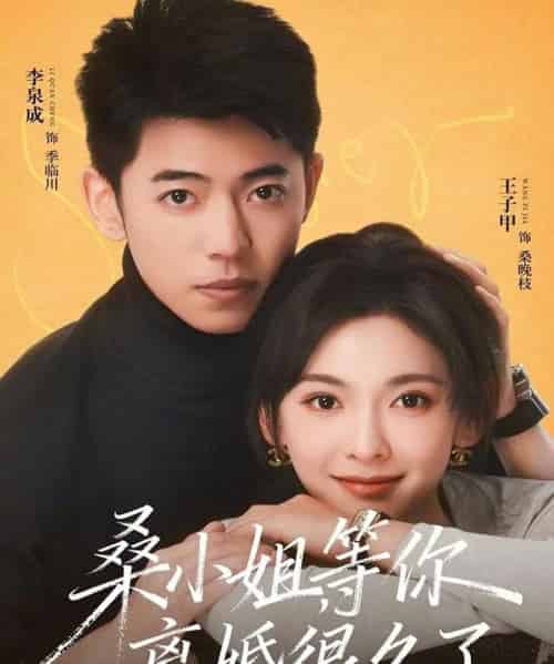 桑小姐，等你离婚很久了（70集全）李泉成＆王子甲-紫橙资源网