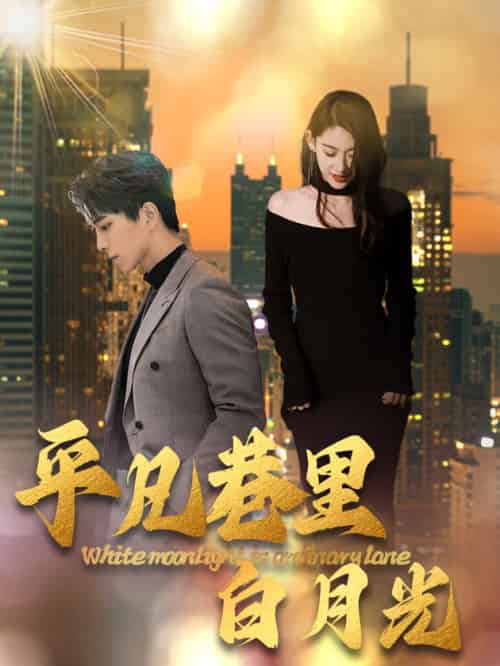 平凡巷里白月光（33集全）-紫橙资源网