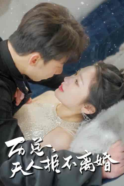 历总，夫人拒不离婚（61集） - 紫橙短剧