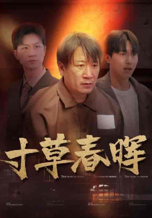 寸草春晖(31集全)-紫橙资源网