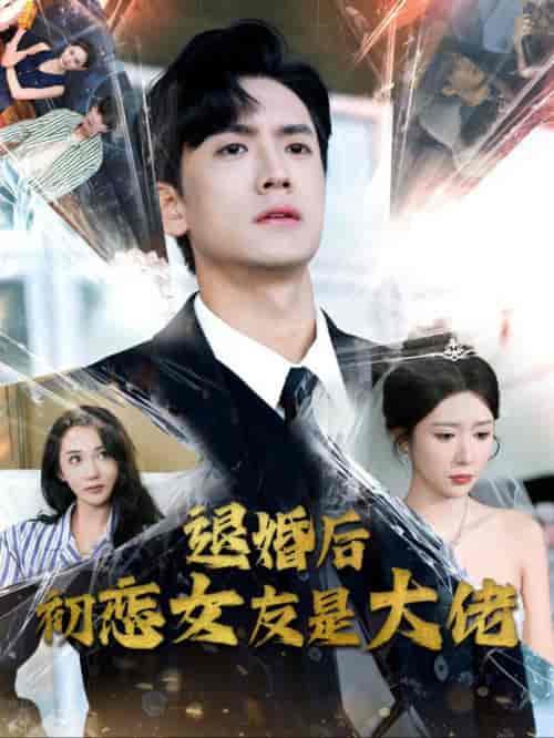退婚后初恋女友是大佬（101集全）-紫橙资源网