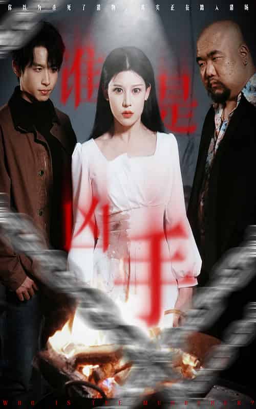 谁是凶手(31集全)严浩&刘欣然&刘美一-紫橙资源网