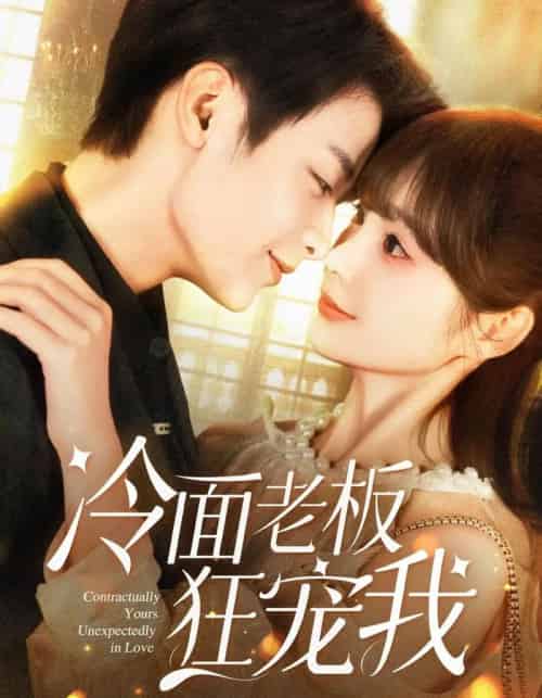 冷面老板狂宠我（78集）赵美旋＆纪俊良-紫橙资源网