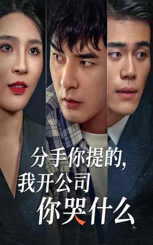 分手你提的，我开公司你哭什么（61集全）-紫橙资源网