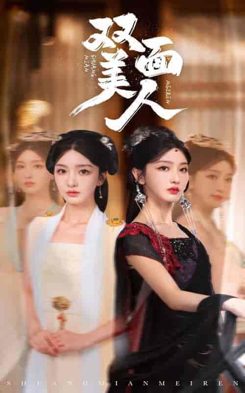 双面美人（30集）-紫橙资源网