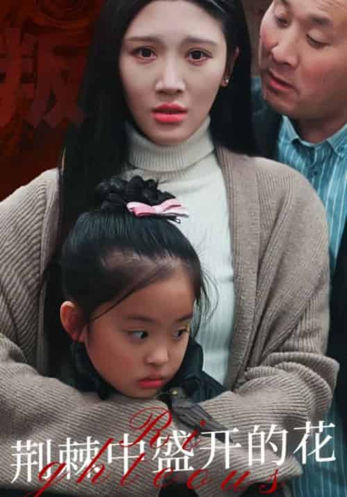 荆棘中盛开的花（51集全）赵龙＆林倩-紫橙资源网