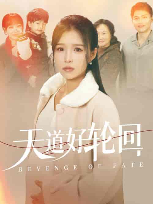 天道好轮回（30集全）-紫橙资源网
