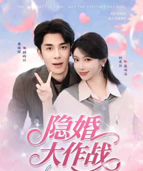 隐婚大作战（82集全）秦琛琛＆林君怡-紫橙资源网