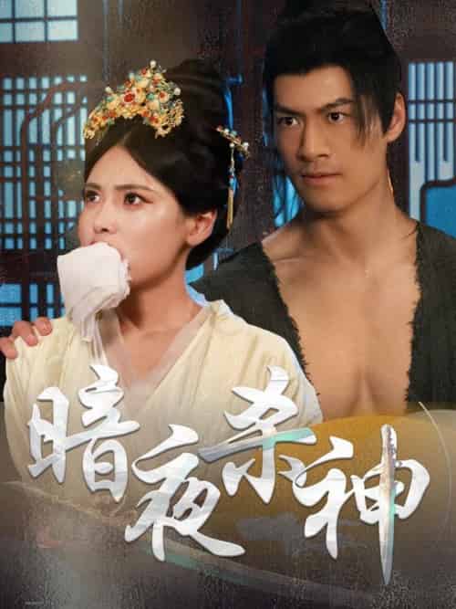 暗夜杀神（49集）-紫橙资源网