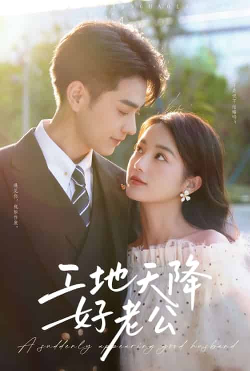 工地天降好老公（60集）王彦鑫＆马倩倩-紫橙资源网