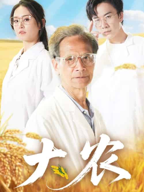 大农（71集） - 紫橙短剧