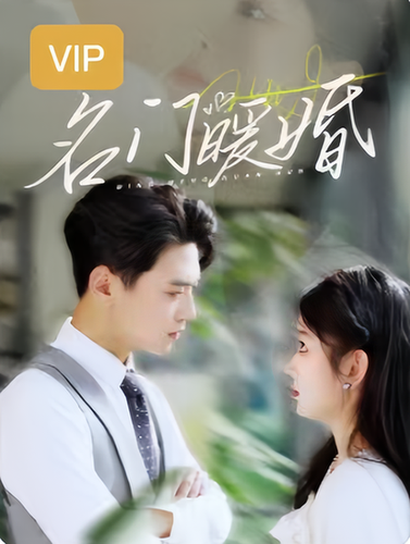 名门暖婚【小合集每集20分钟】-紫橙资源网