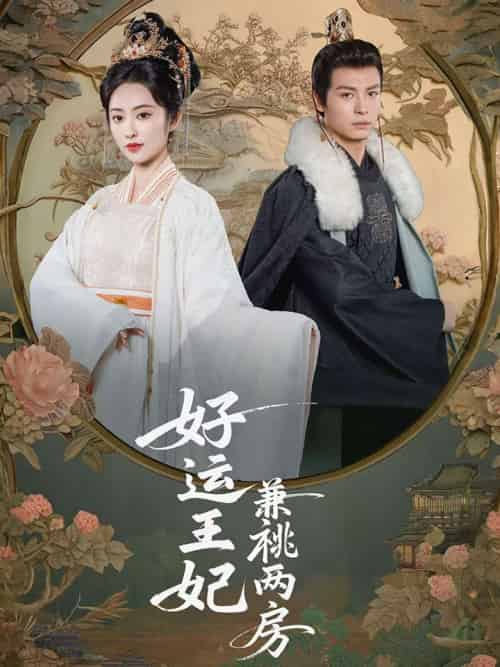 好运王妃兼祧两房（50集）刘叁肆＆生馨月-紫橙资源网