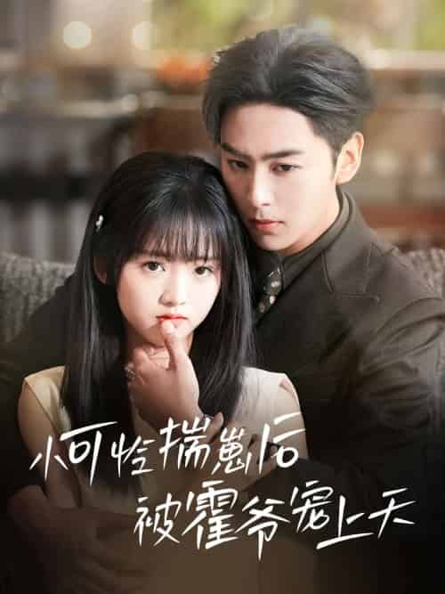 小可怜揣崽后被霍爷宠上天（83集）星硕＆王宇婧-紫橙资源网