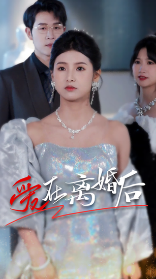 爱在离婚后（72集）-紫橙资源网