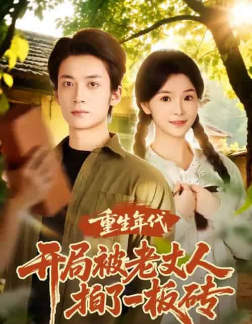 重生年代开局被老丈人拍了一板砖（82集全）陈含＆冯亦-紫橙资源网