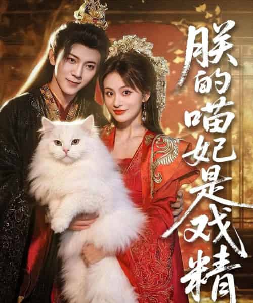 朕的喵妃是戏精(72集)范呈麒&娄宇瑶-紫橙资源网