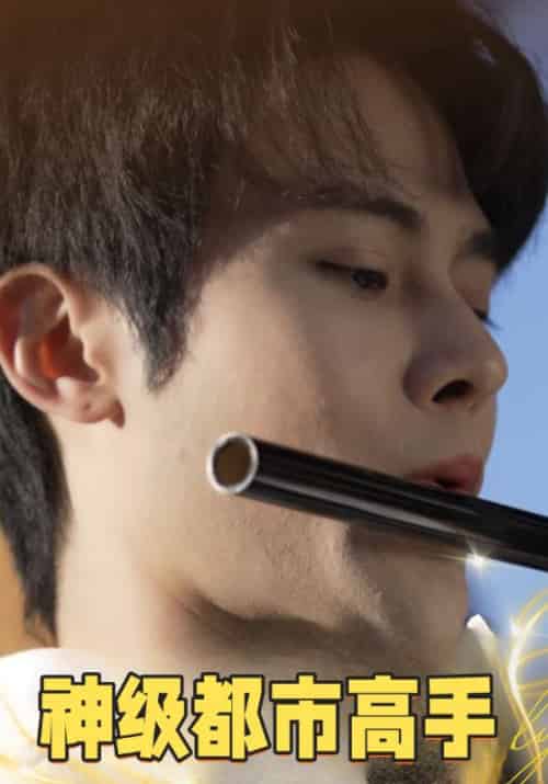 神级都市高手(102集全)凌天&阮小柔-紫橙资源网