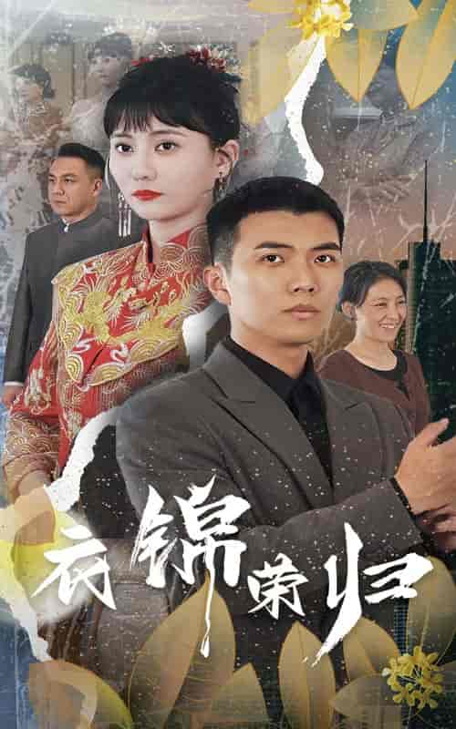 衣锦荣归（81集）-紫橙资源网