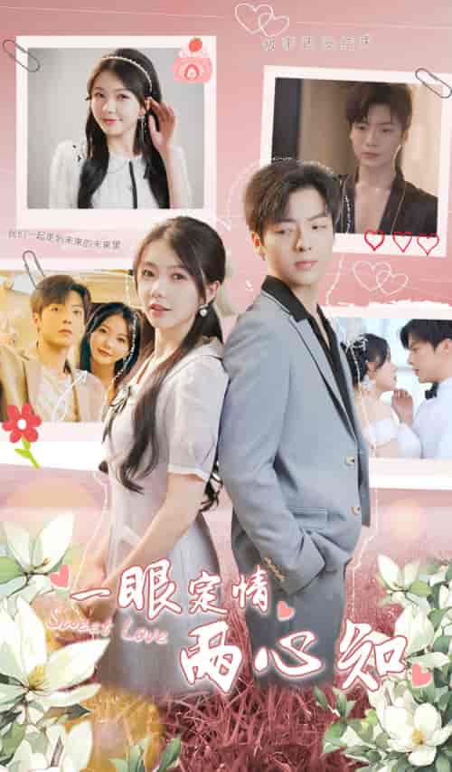 一眼定情两心知（79集）林籽蓉-紫橙资源网