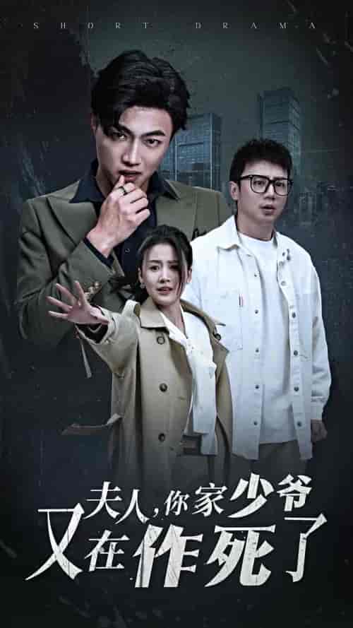 夫人你家少爷又在作死了（30集全）-紫橙资源网