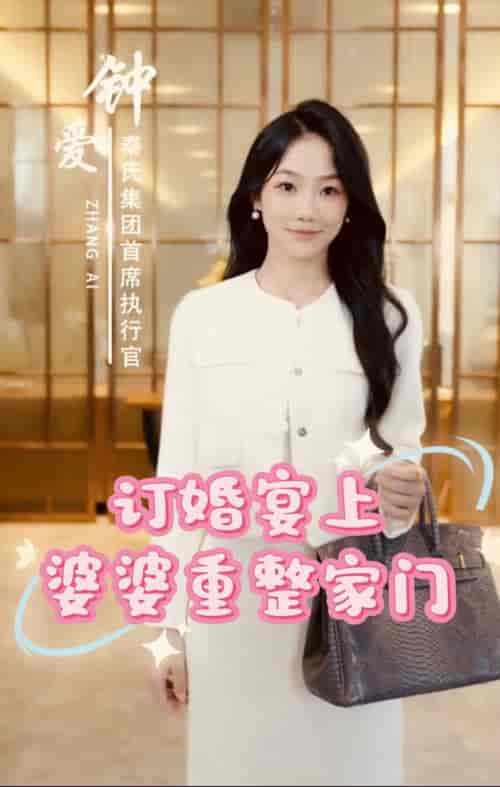 订婚宴上婆婆重整家门（35集全）-紫橙资源网