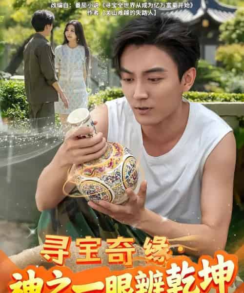 寻宝奇缘,神之一眼辨乾坤(80集全)刘抒航&李佳颖-紫橙资源网