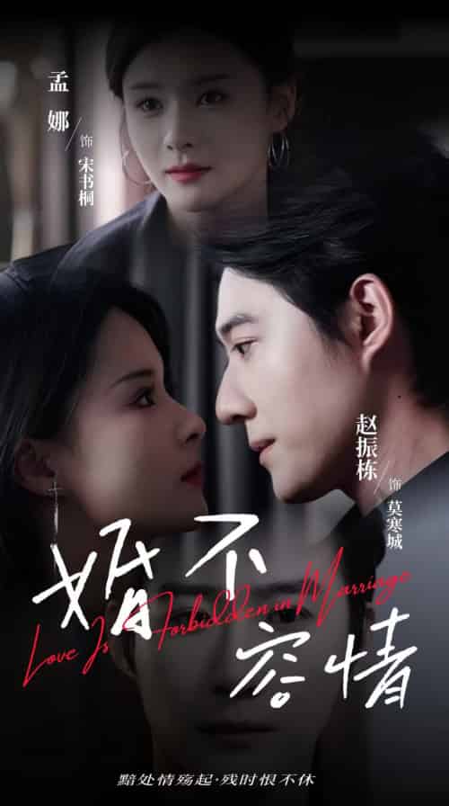 婚不容情（89集全）赵振栋＆孟娜 - 紫橙短剧