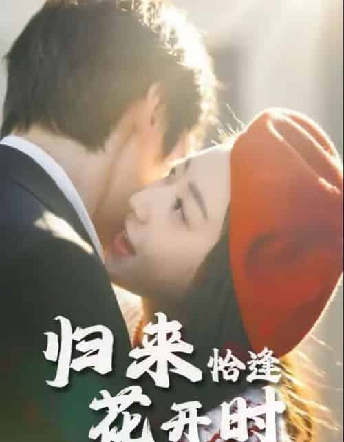 归来恰逢花开时（62集） - 紫橙短剧