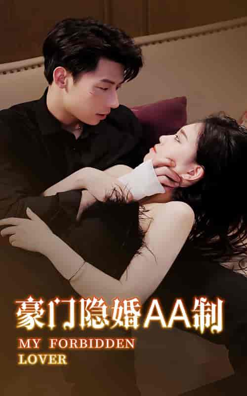 豪门隐婚AA制(100集)-紫橙资源网