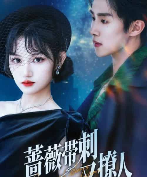 蔷薇带刺又撩人(70集)马士尧&安晓洁-紫橙资源网