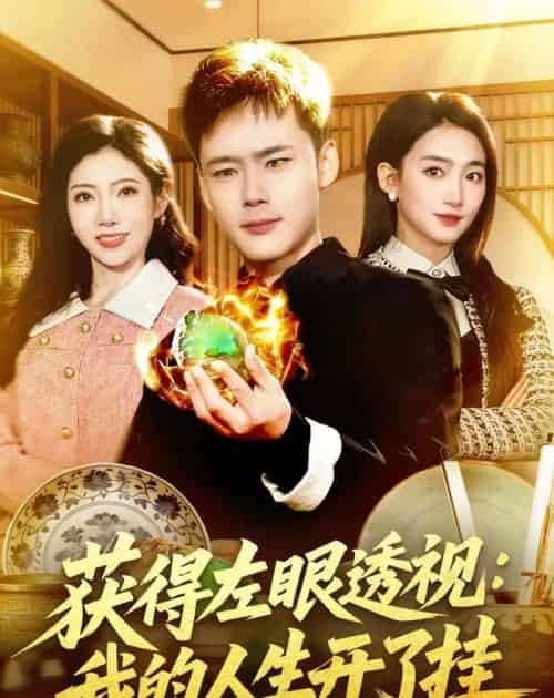 获得左眼透视:我的人生开了挂(102集全)王行宇&董秋怡-紫橙资源网