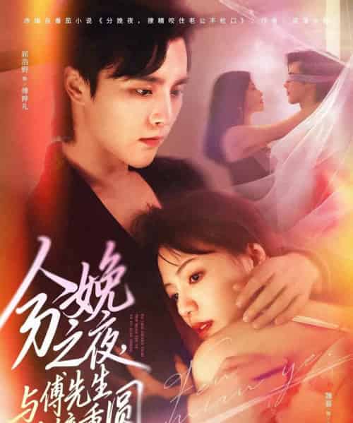 分娩之夜,与傅先生破镜重圆(80集全)屈浩野&魏嘉-紫橙资源网