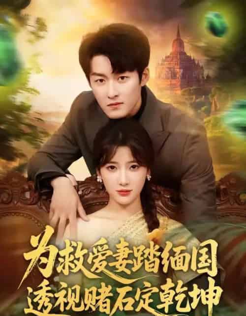 为救爱妻踏缅国透视赌石定乾坤（79集全）姜博龙＆宗望舒-紫橙资源网
