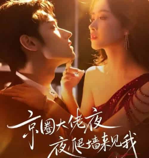 京圈大佬夜夜爬墙来见我＆吻上瘾，顾总他破防了（73集全）赵星卉＆袁凯凯-紫橙资源网
